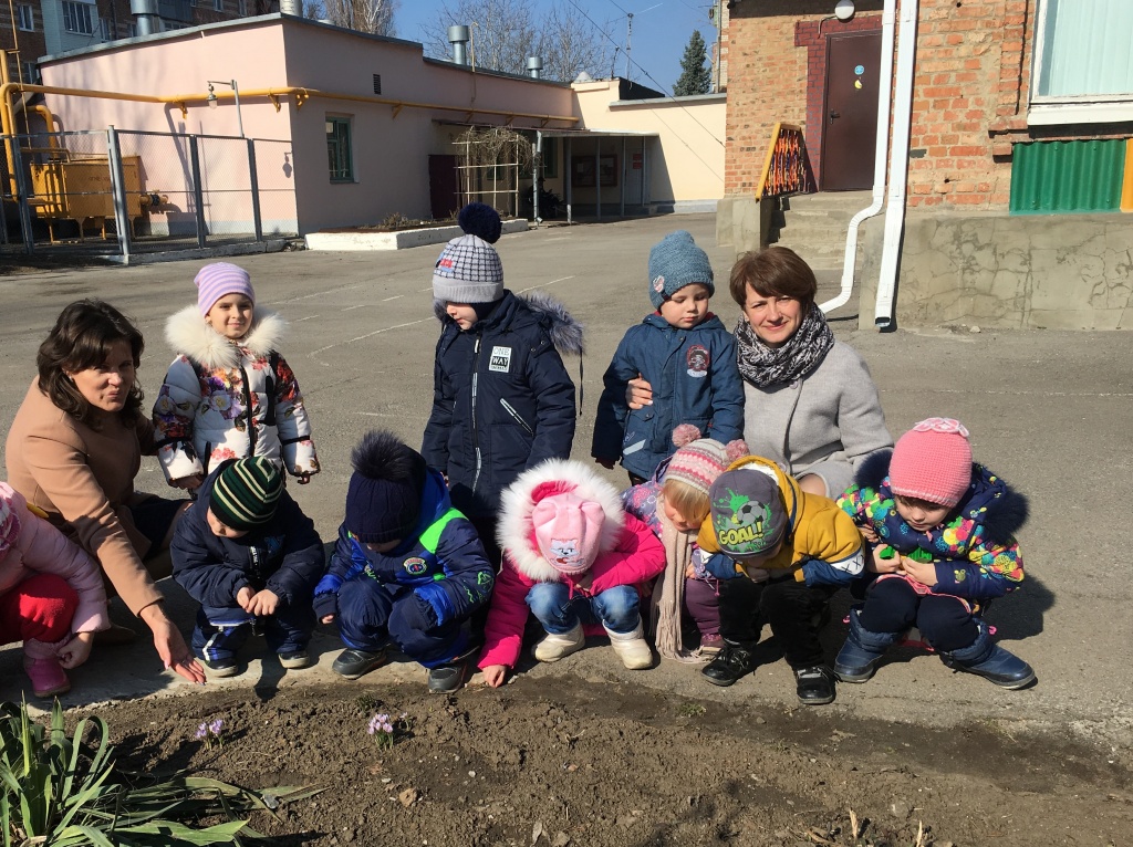 «Первоцветы – вестники весны!»