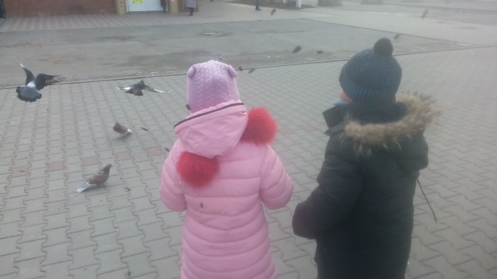 «Покормите птиц зимой» 