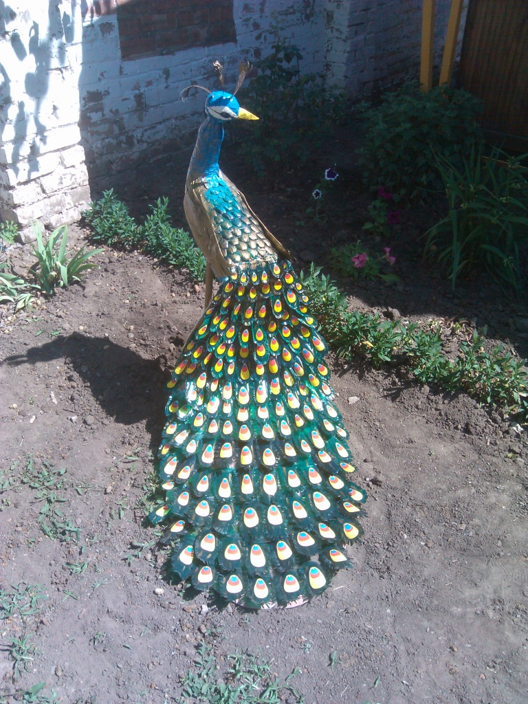 IMG-20190614-WA0007.jpeg