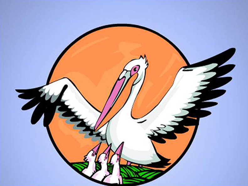 pelikan.jpg
