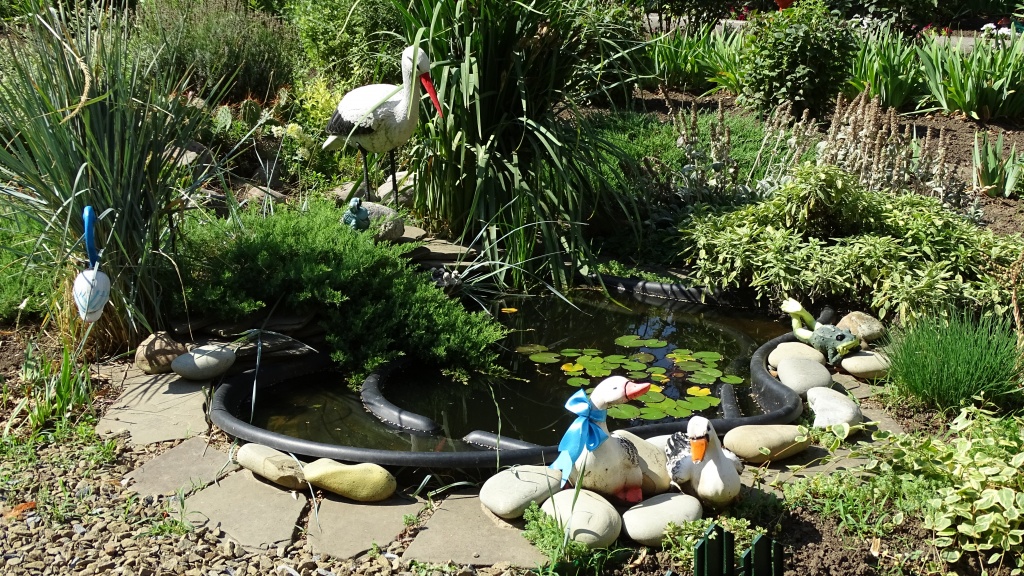DSC01564.JPG